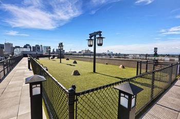 Rooftop dog run